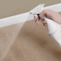 Remove old dry urine carpets rugs