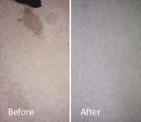 Remove old dry urine carpets rugs, Planet Urine