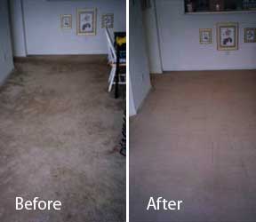 Carpets and Rugs Remove Dog Urine Stains Cat Urine Stains and Odors Special Offer, Planet Urine
