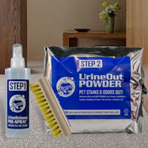 Remove old dry urine carpets rugs, Planet Urine