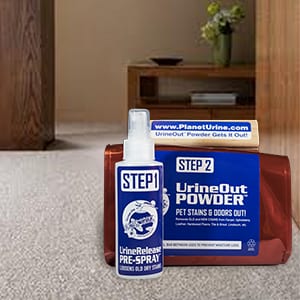 Remove old dry urine carpets rugs, Planet Urine