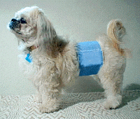 PU Housetraining Wrappers For Male Dogs, Planet Urine