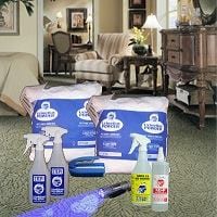 Helpful Tips to Get Rid of Pet Odors and Stains from a Carpet