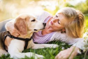 dog with older woman