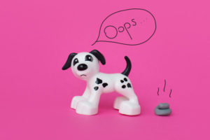 pet diapers