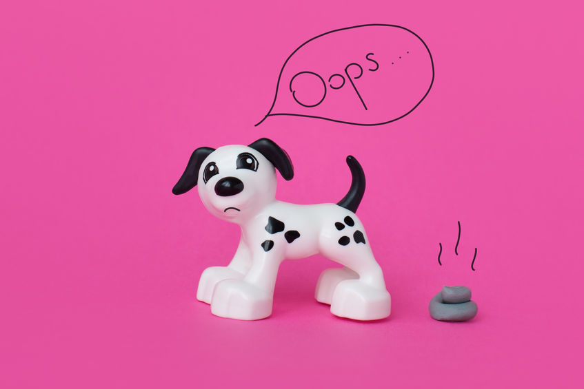 5 Effective Ways to Get Dried Dog Poop Off Your Carpet