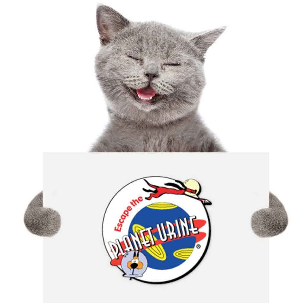 How to Get Pet Urine out of Hardwood Floors Urine