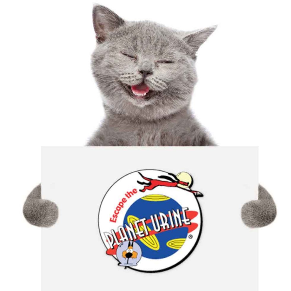 How to Get Pet Urine out of Hardwood Floors Urine